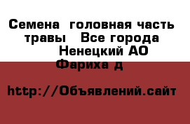 Семена (головная часть))) травы - Все города  »    . Ненецкий АО,Фариха д.